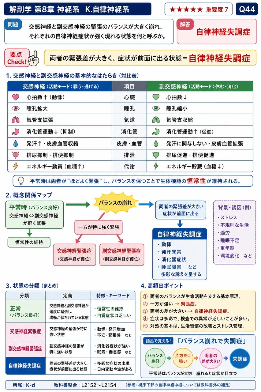 交感神経と副交感神経の緊張のバランスが大きく崩れ、それぞれの自律神経症状が強く現れる状態を何と呼ぶか。 解説図