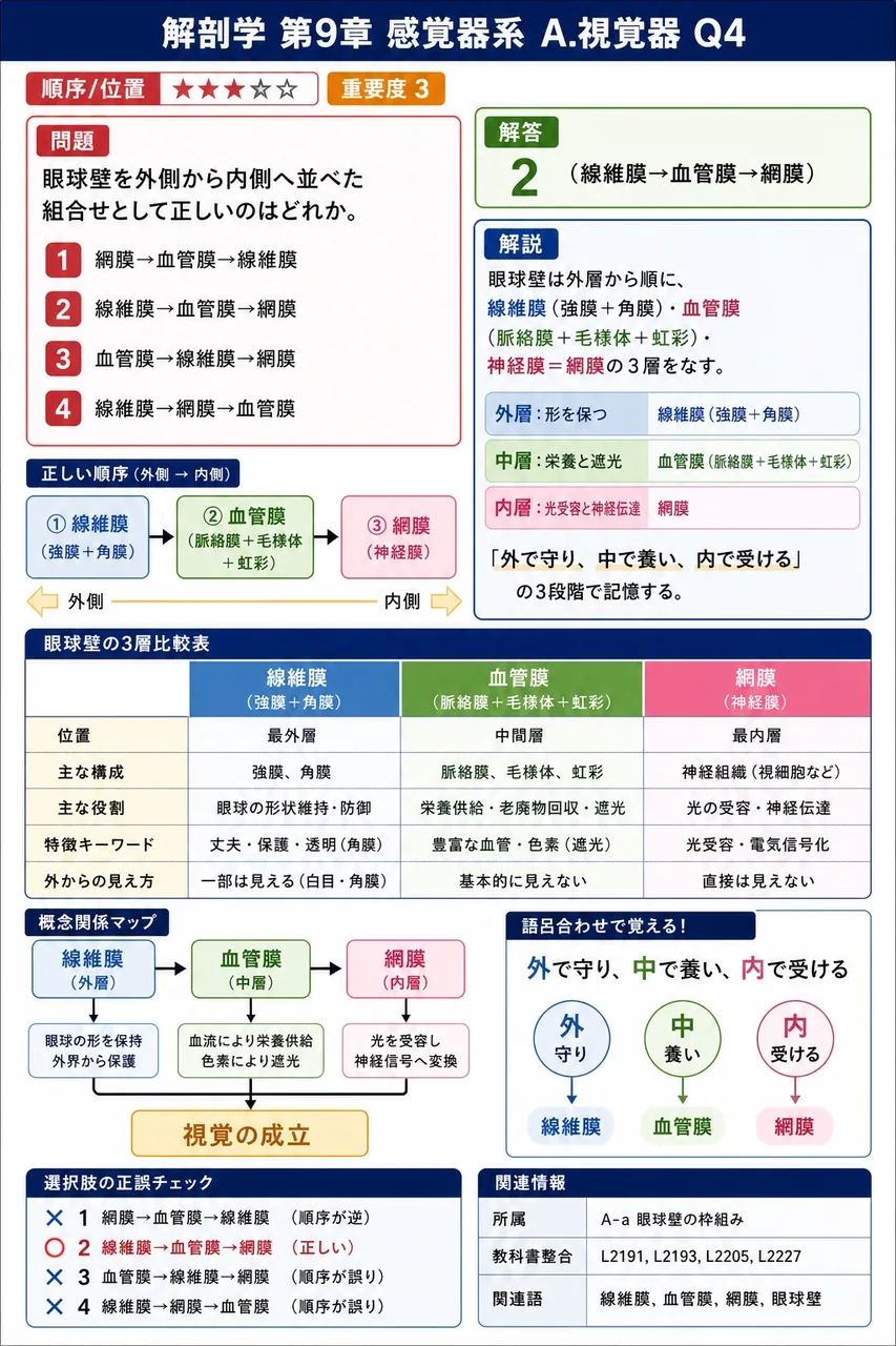 眼球壁を外側から内側へ並べた組合せとして正しいのはどれか。 解説図