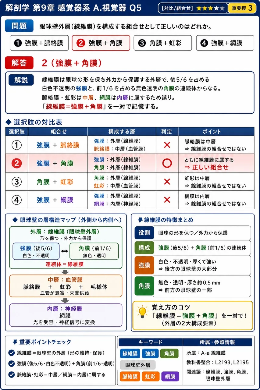 眼球壁外層(線維膜)を構成する組合せとして正しいのはどれか。 解説図