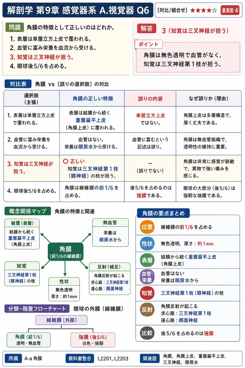 角膜の特徴として正しいのはどれか。 解説図