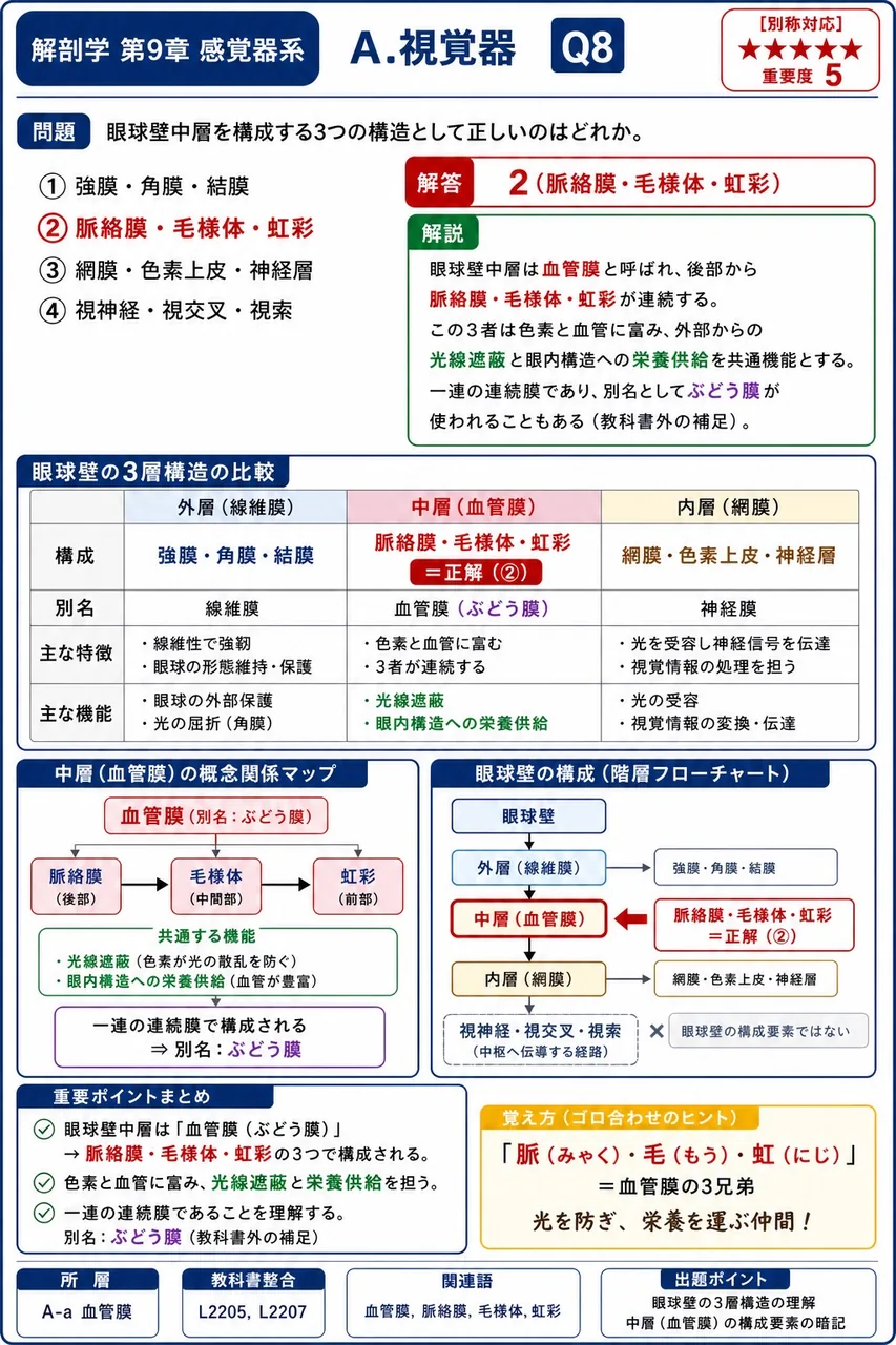 眼球壁中層を構成する3つの構造として正しいのはどれか。 解説図
