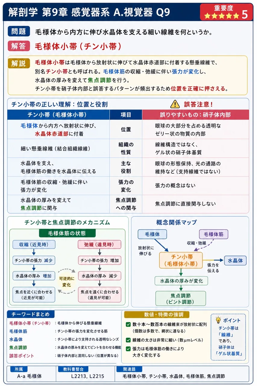毛様体から内方に伸び水晶体を支える細い線維を何というか。 解説図