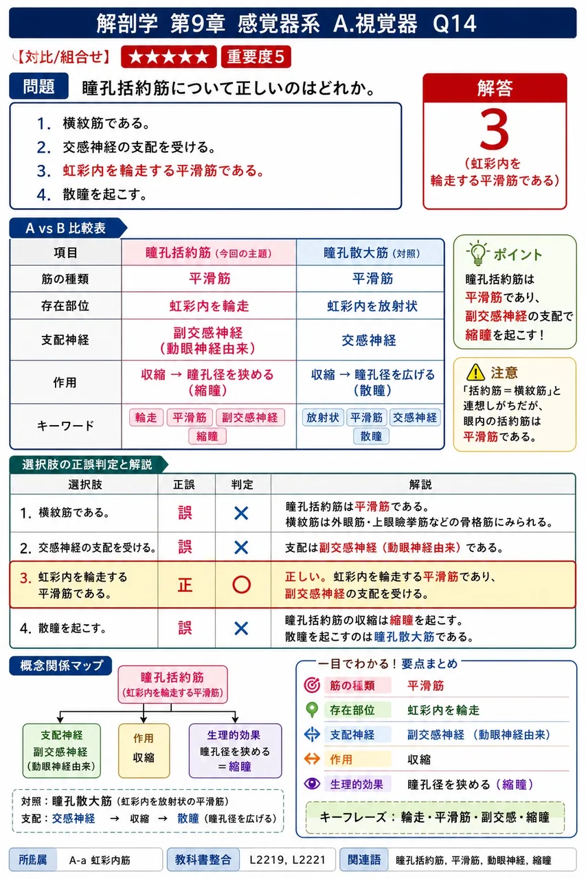 瞳孔括約筋について正しいのはどれか。 解説図