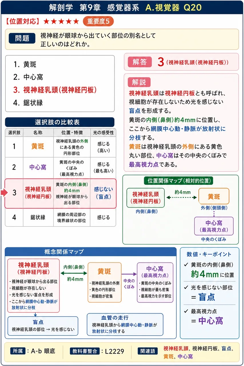 視神経が眼球から出ていく部位の別名として正しいのはどれか。 解説図