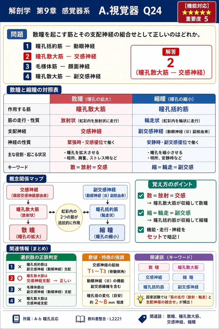散瞳を起こす筋とその支配神経の組合せとして正しいのはどれか。 解説図