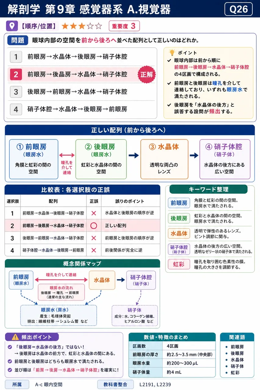 眼球内部の空間を前から後ろへ並べた配列として正しいのはどれか。 解説図