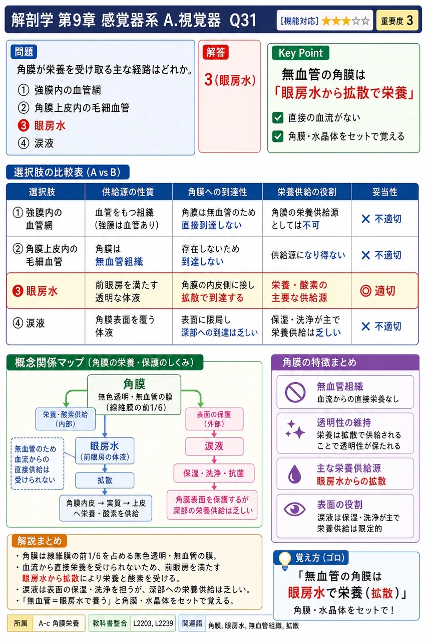 角膜が栄養を受け取る主な経路はどれか。 解説図