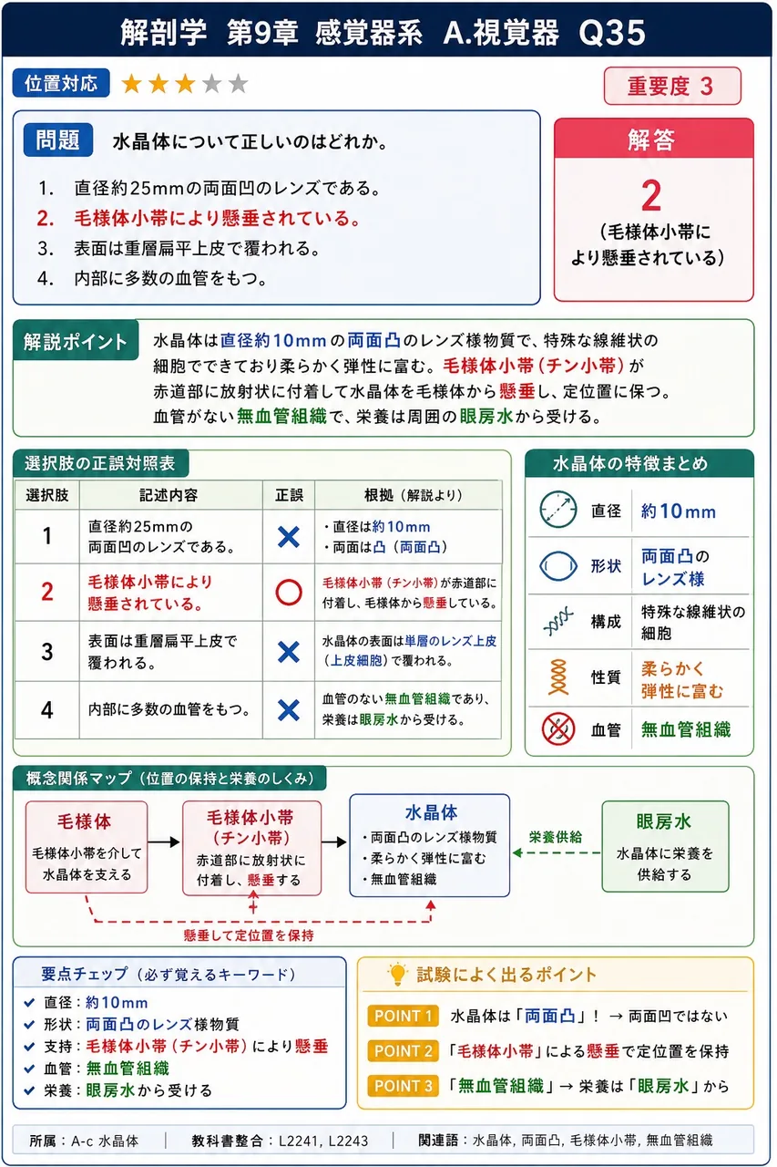 水晶体について正しいのはどれか。 解説図