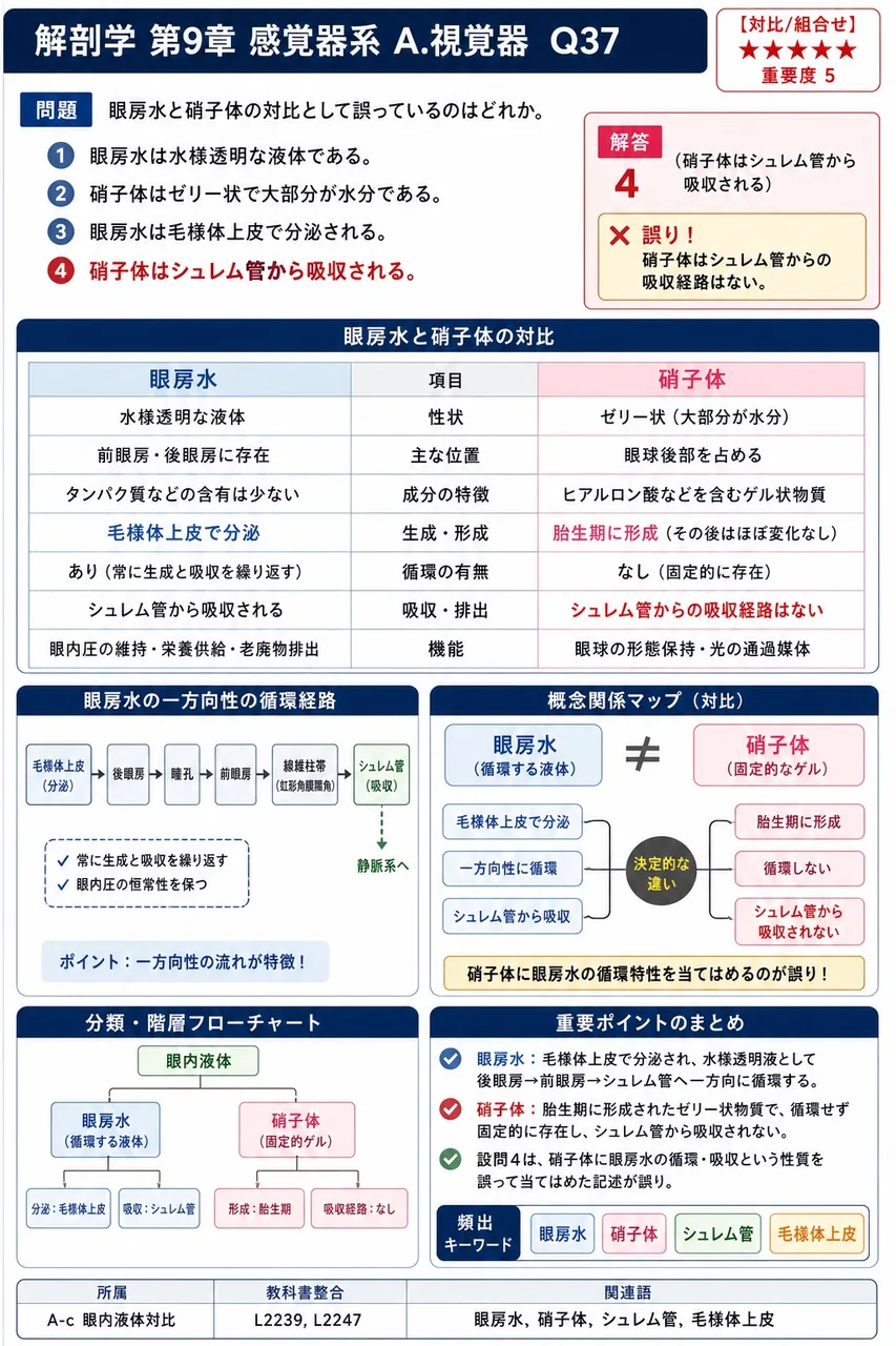 眼房水と硝子体の対比として誤っているのはどれか。 解説図