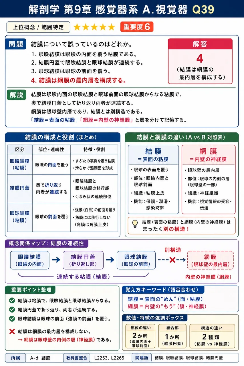 結膜について誤っているのはどれか。 解説図