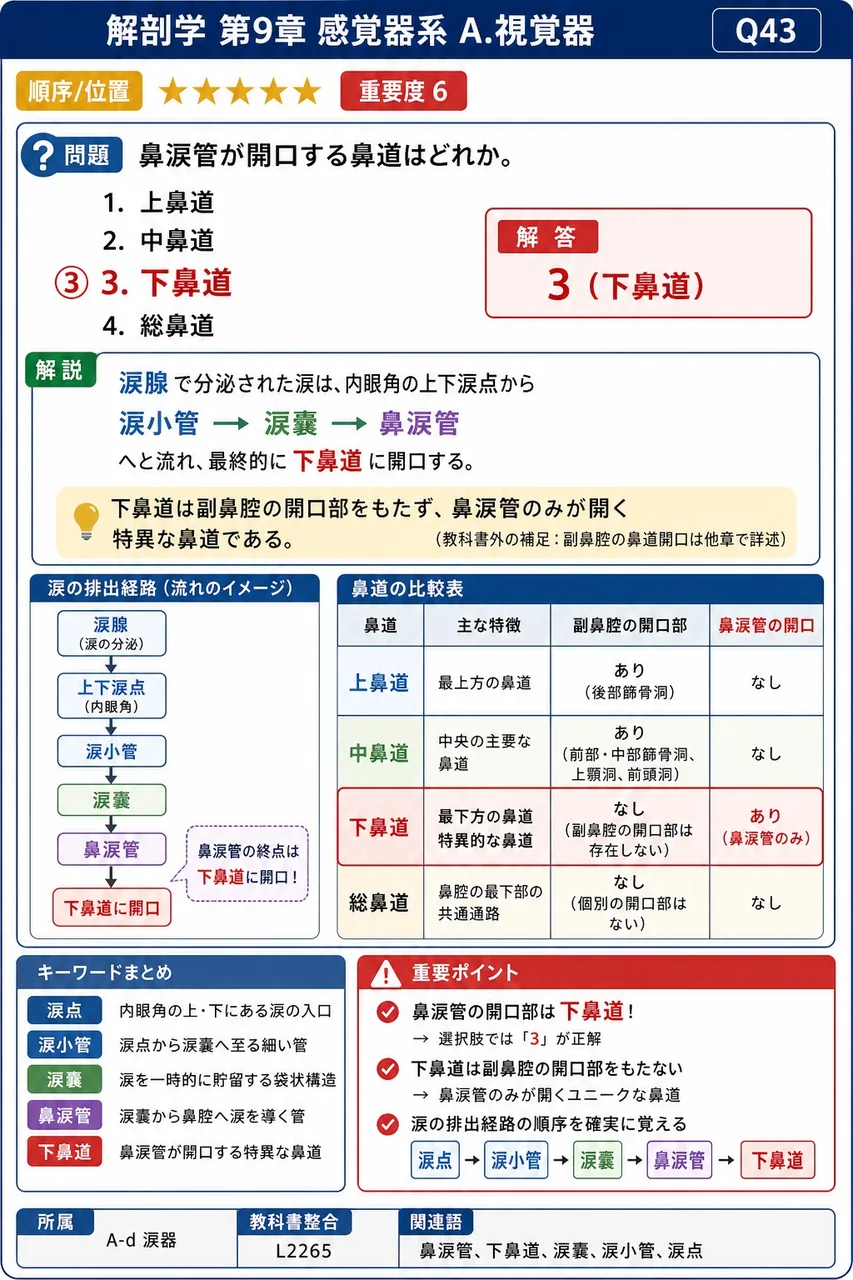 鼻涙管が開口する鼻道はどれか。 解説図