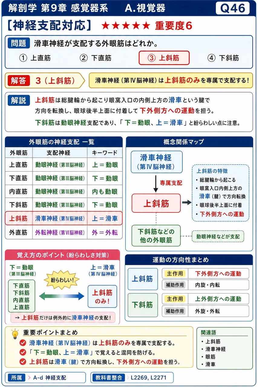 滑車神経が支配する外眼筋はどれか。 解説図