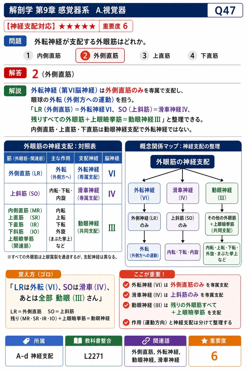 外転神経が支配する外眼筋はどれか。 解説図