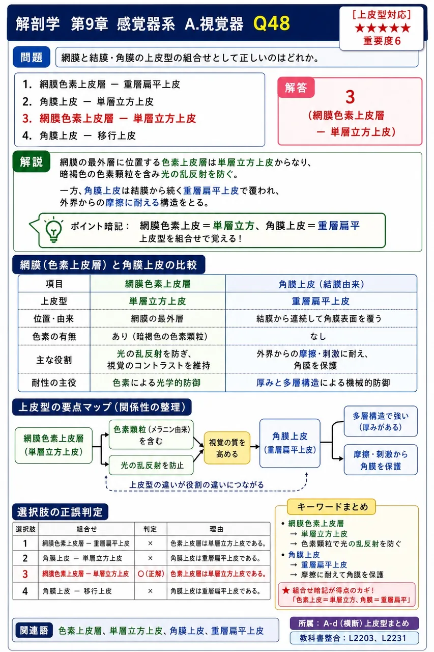 網膜と結膜・角膜の上皮型の組合せとして正しいのはどれか。 解説図