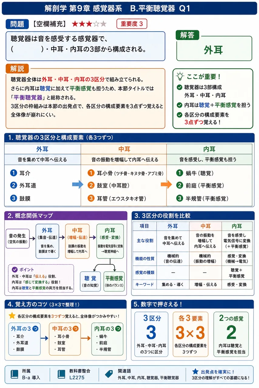 聴覚器は音を感受する感覚器で、( )・中耳・内耳の3部から構成される。 解説図