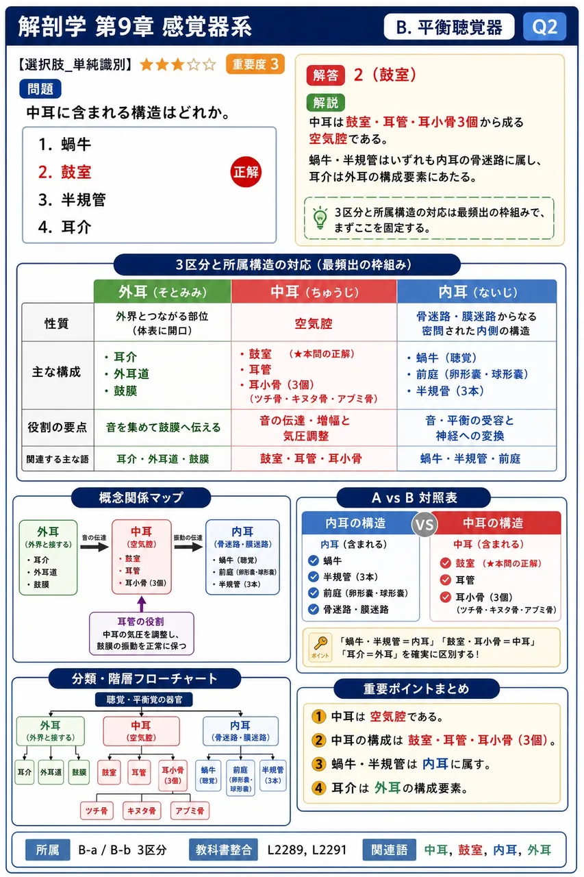 中耳に含まれる構造はどれか。 解説図