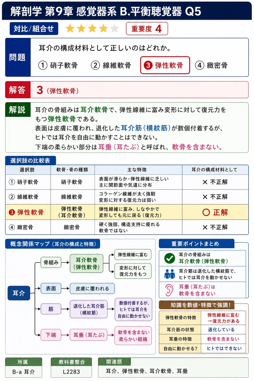 耳介の構成材料として正しいのはどれか。 解説図