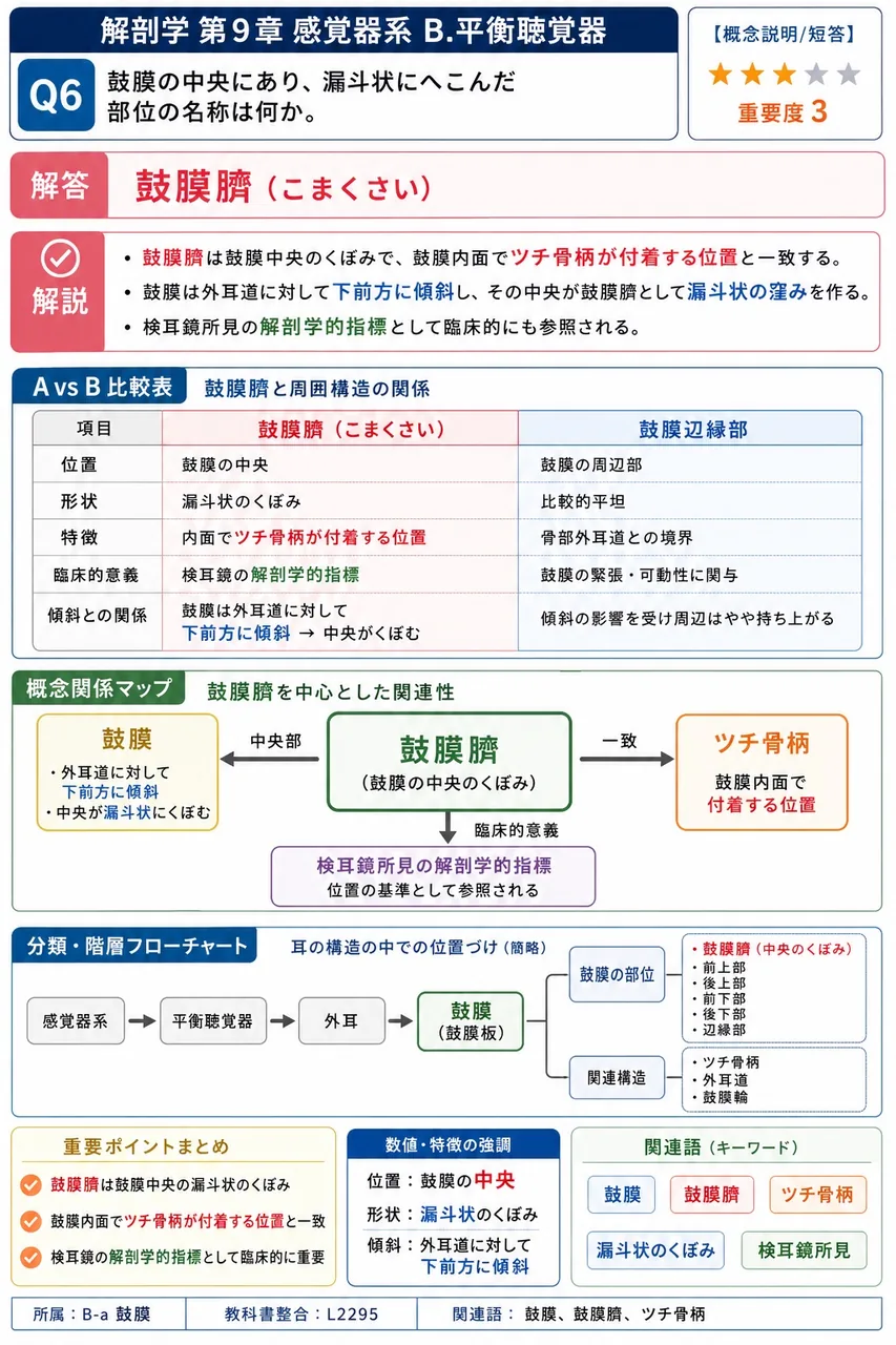 鼓膜の中央にあり、漏斗状にへこんだ部位の名称は何か。 解説図