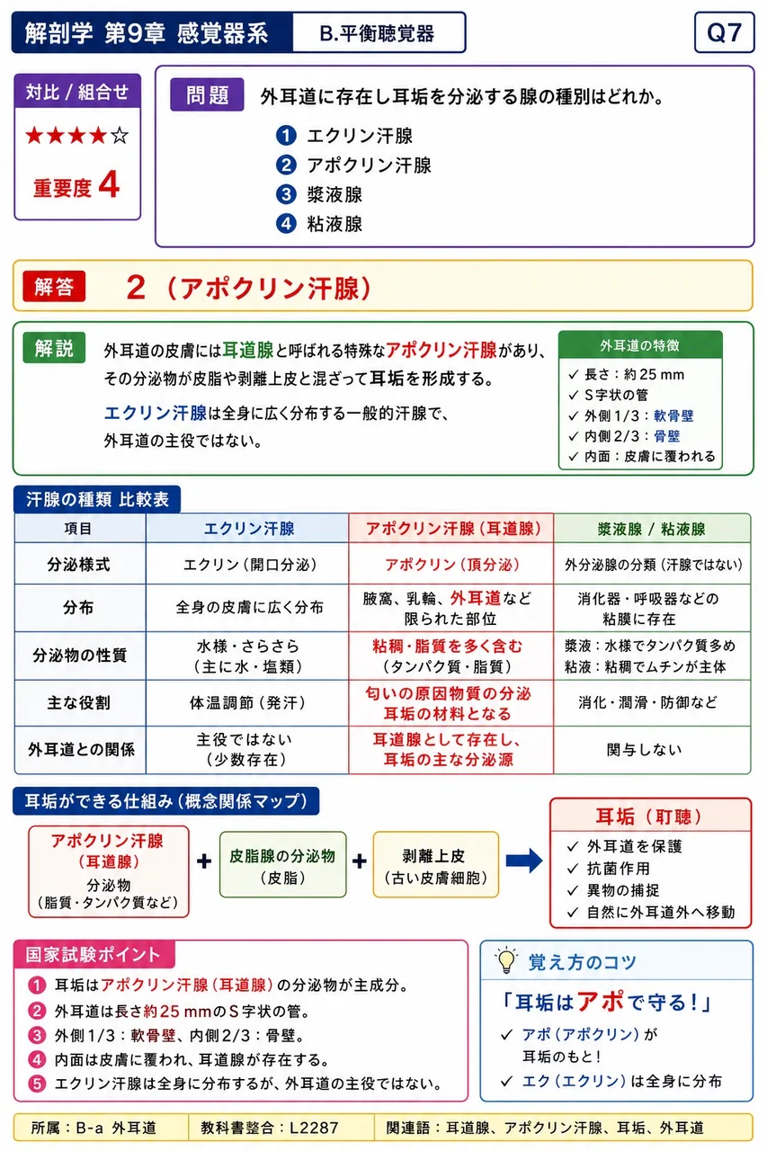 外耳道に存在し耳垢を分泌する腺の種別はどれか。 解説図