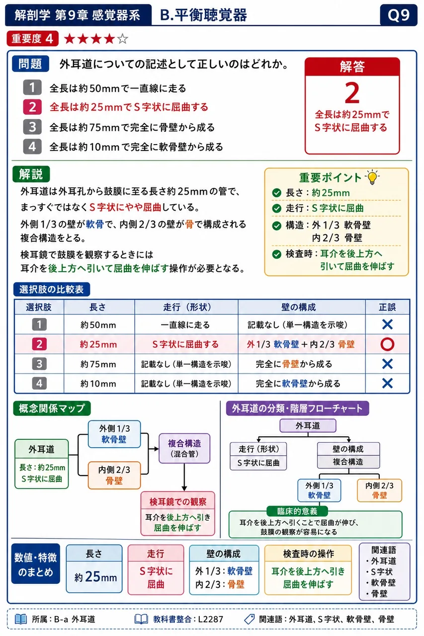 外耳道についての記述として正しいのはどれか。 解説図