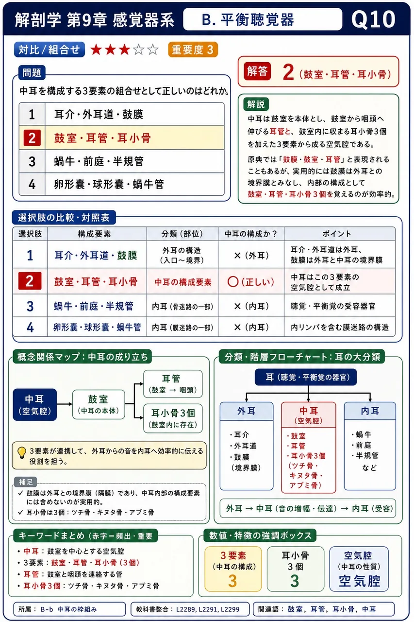 中耳を構成する3要素の組合せとして正しいのはどれか。 解説図