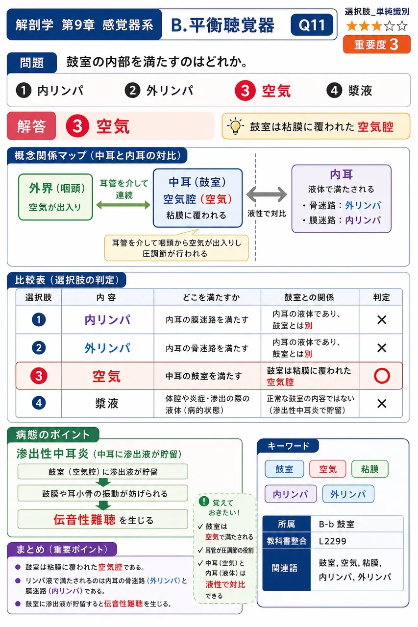 鼓室の内部を満たすのはどれか。 解説図