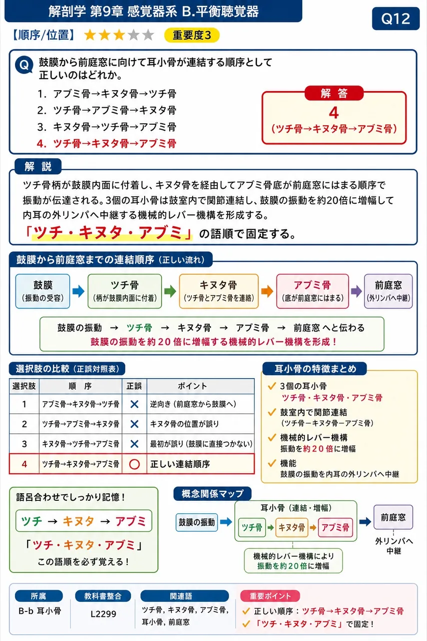 鼓膜から前庭窓に向けて耳小骨が連結する順序として正しいのはどれか。 解説図