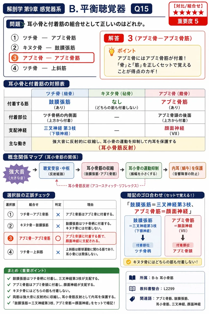 耳小骨と付着筋の組合せとして正しいのはどれか。 解説図