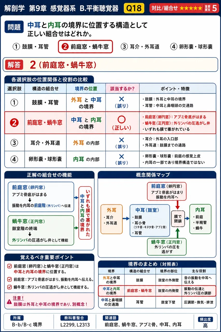 中耳と内耳の境界に位置する構造として正しい組合せはどれか。 解説図