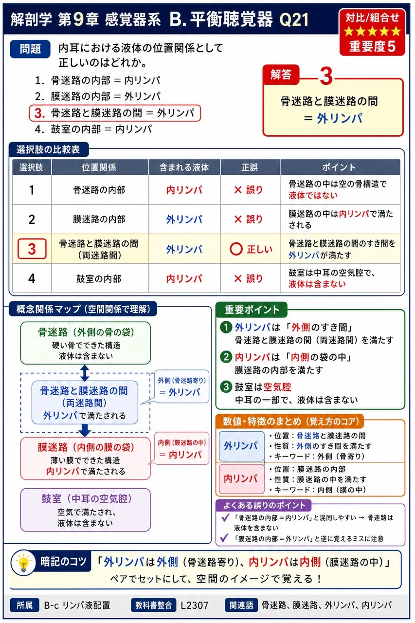 内耳における液体の位置関係として正しいのはどれか。 解説図