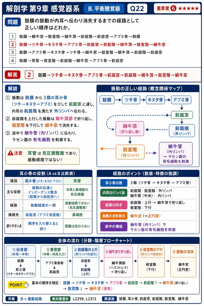 鼓膜の振動が内耳へ伝わり消失するまでの経路として正しい順序はどれか。 解説図