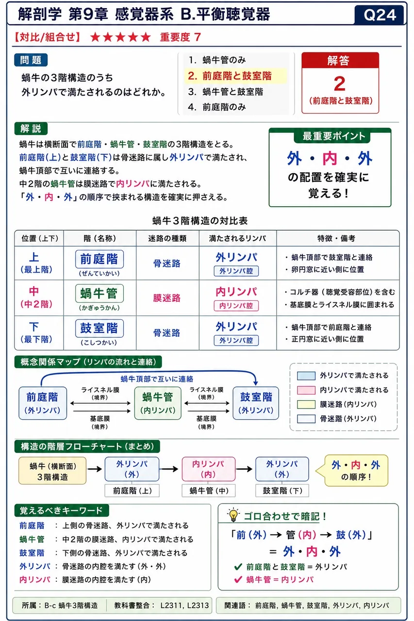蝸牛の3階構造のうち外リンパで満たされるのはどれか。 解説図