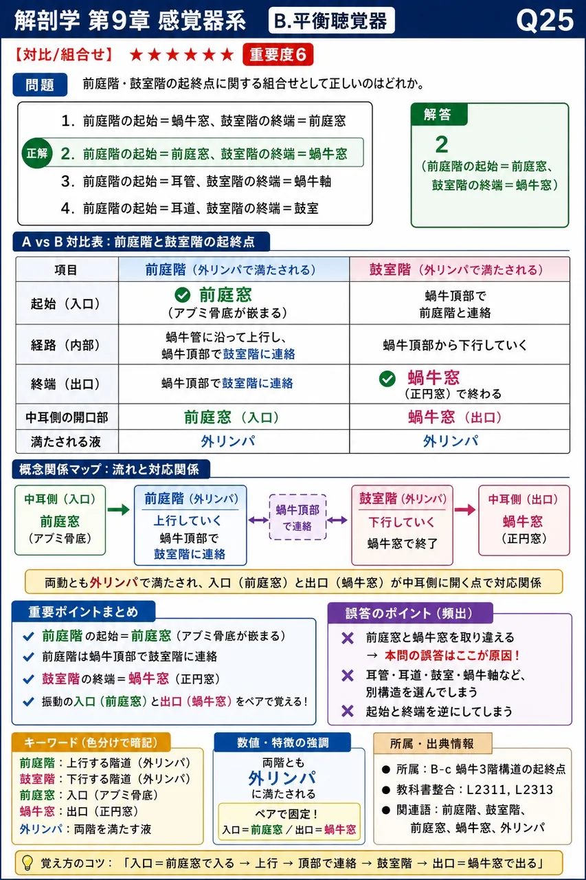 前庭階・鼓室階の起終点に関する組合せとして正しいのはどれか。 解説図