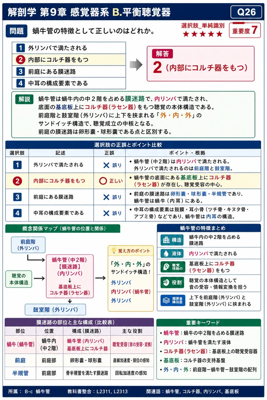 蝸牛管の特徴として正しいのはどれか。 解説図