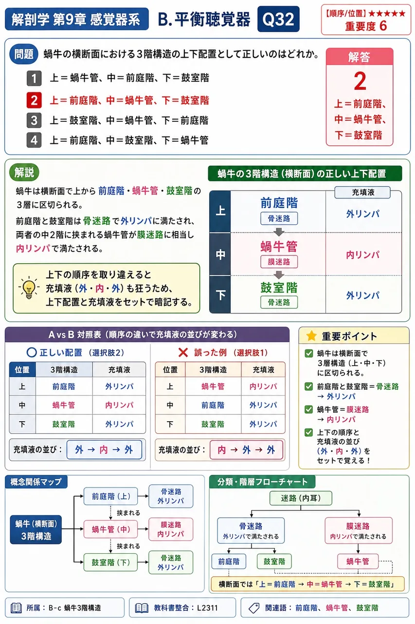 蝸牛の横断面における3階構造の上下配置として正しいのはどれか。 解説図