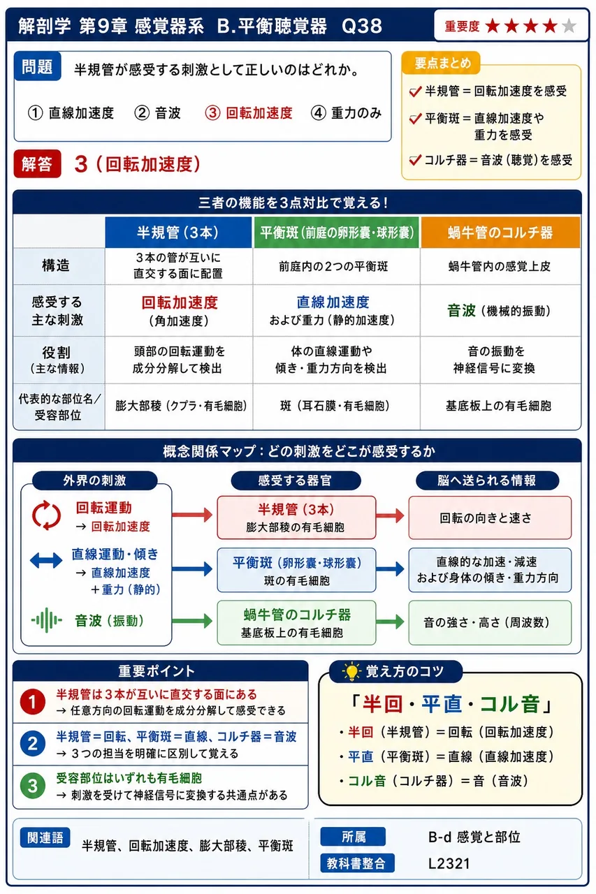 半規管が感受する刺激として正しいのはどれか。 解説図