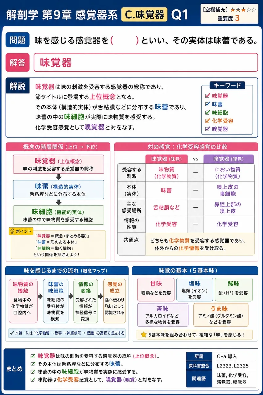 味を感じる感覚器を( )といい、その実体は味蕾である。 解説図