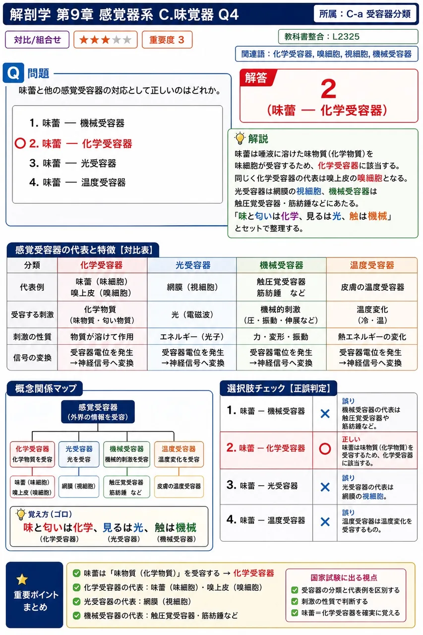 味蕾と他の感覚受容器の対応として正しいのはどれか。 解説図