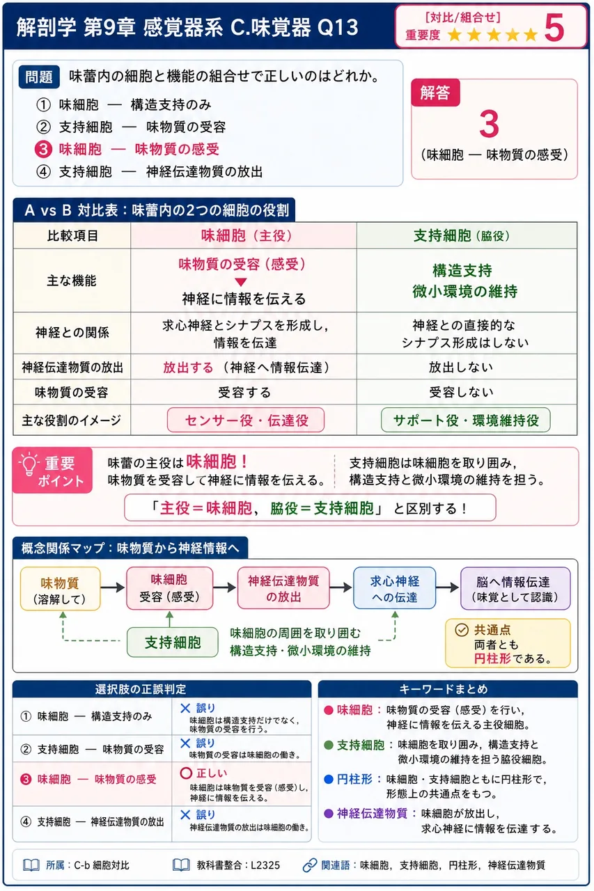 味蕾内の細胞と機能の組合せで正しいのはどれか。 解説図