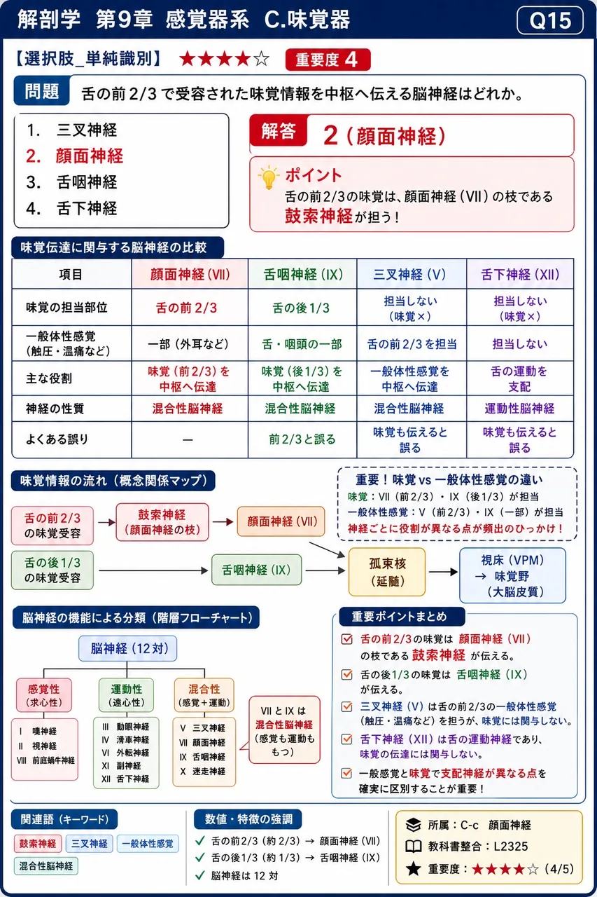 舌の前2/3で受容された味覚情報を中枢へ伝える脳神経はどれか。 解説図