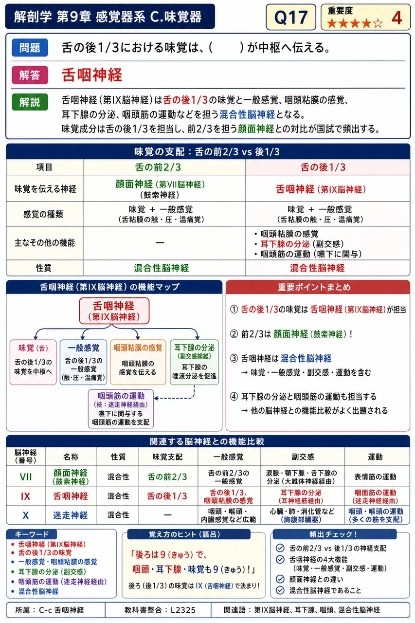 舌の後1/3における味覚は、( )が中枢へ伝える。 解説図