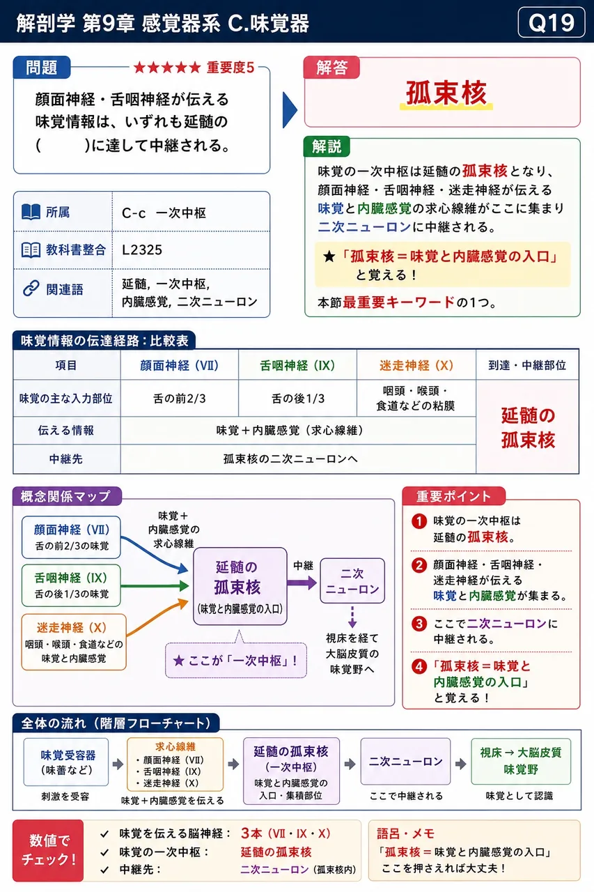 顔面神経・舌咽神経が伝える味覚情報は、いずれも延髄の( )に達して中継される。 解説図