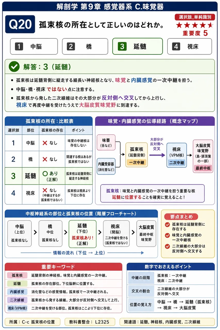 孤束核の所在として正しいのはどれか。 解説図