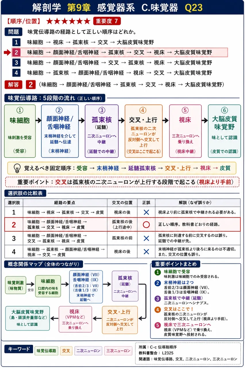 味覚伝導路の経路として正しい順序はどれか。 解説図