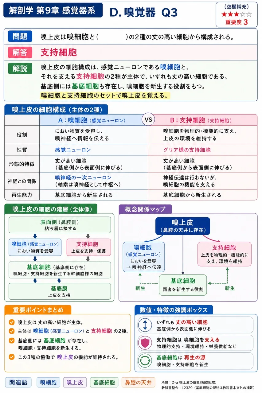 嗅上皮は嗅細胞と( )の2種の丈の高い細胞から構成される。 解説図