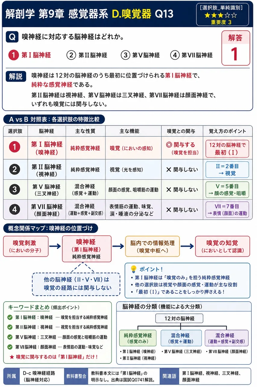 嗅神経に対応する脳神経はどれか。 解説図