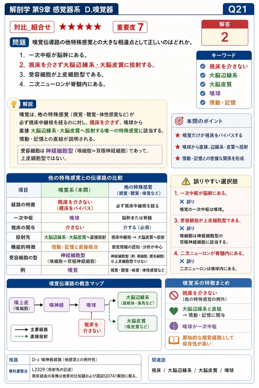 嗅覚伝導路の他特殊感覚との大きな相違点として正しいのはどれか。 解説図