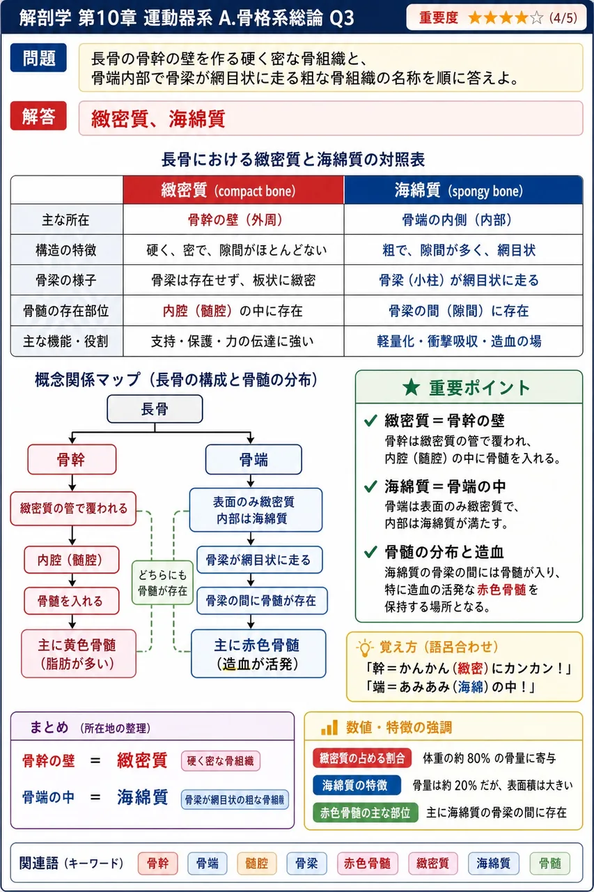 長骨の骨幹の壁を作る硬く密な骨組織と、骨端内部で骨梁が網目状に走る粗な骨組織の名称を順に答えよ。 解説図