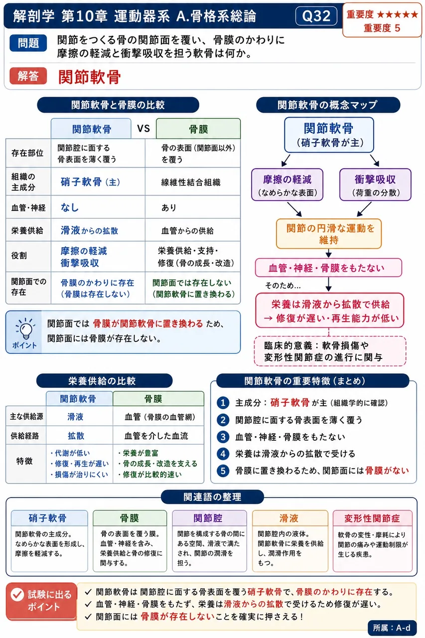 短骨に分類されるのはどれか。 解説図