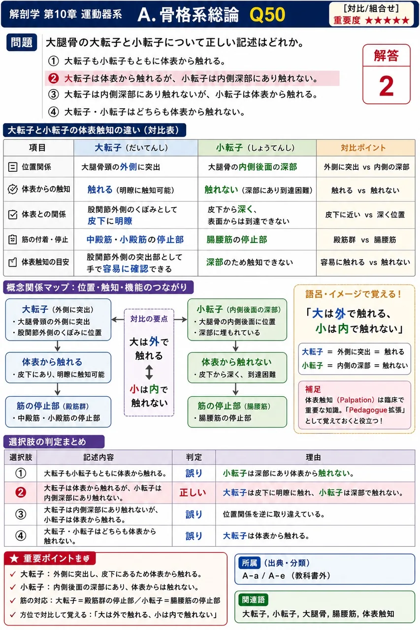長骨の構造についての記述で正しいのはどれか。 解説図